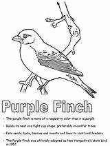 Coloring Finch State Bird Purple Symbols Printables States United Designlooter Drawings Kidzone Geography Newhampshire Ws Usa 25kb sketch template