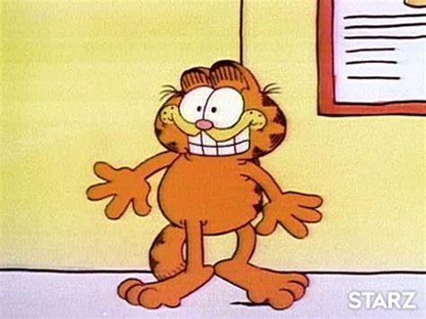Garfield And Friends Astro Cat U S Acres Cock A Doodle Duel