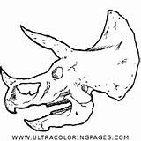 Triceratops Torosaurus Craneo Cráneo Skull sketch template