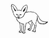 Fox Desert Drawing Coloring Pages Clipart Arctic Outline Netart Baby Getdrawings Fennec Animal Getcolorings Clipground Draw Color Choose Board Cute sketch template