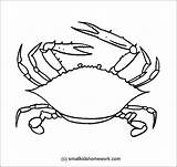 Crab Outline Line Drawing Coloring Getdrawings sketch template