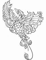 Phoenix Coloring Pages Animals Fantastic Fenix Adult Color Coloriage Animaux Fantastiques Stress Anti Adults Printable Colouring Outline Therapy Adulte Books sketch template