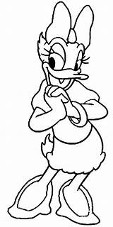 Duck Daisy Coloring Disney Pages Baby Daffy Color Print Printable Kids Cartoon Colouring Drawings Sheets Sketch Coloringsun Template Getcolorings Paper sketch template