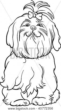 maltese dog cartoon vector photo  trial bigstock