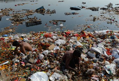 dying waters india struggles  clean   polluted urban rivers yale