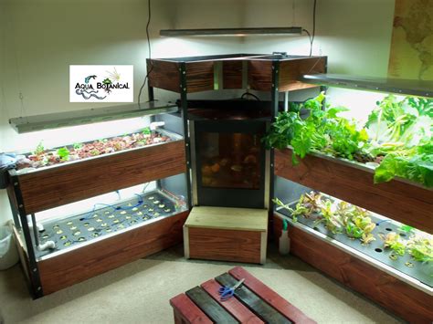indoor aquaponic systems plans diy aquaponics system