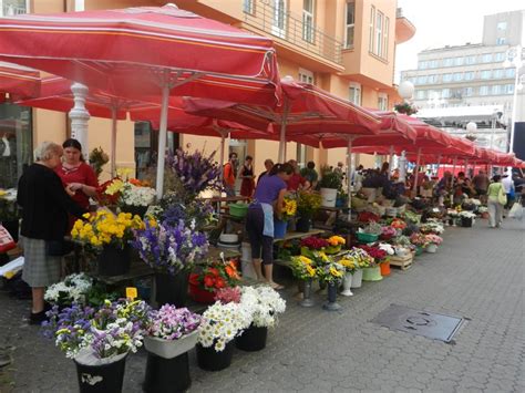 flower market photo