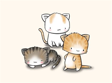 kawaii cats  cutiesquad  dribbble