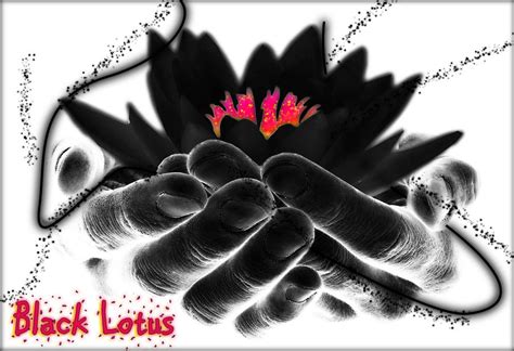black lotus  aryiana dzyn  deviantart