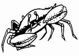 Krab Kleurplaten Crab Kepiting Animasi Mewarnai Krabbe Krebs Crabe Ausmalbild Krabben Caranguejo Granchio Granchi Animierte Bergerak Crabs Animaatjes Krebse Malvorlage sketch template