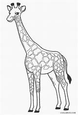 Giraffe Girafa Giraf Ausmalbilder Malvorlagen Topkleurplaat Dieren Desenhar sketch template