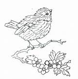 Embroidery Trishburr Outline Bird sketch template
