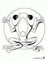 Frog Cajun sketch template