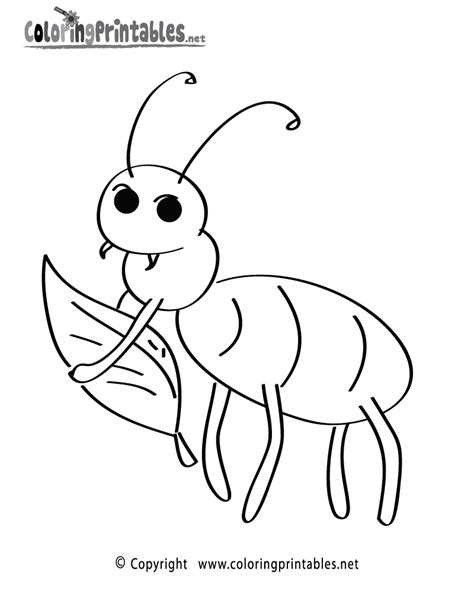 gambar fun insect coloring page  nature printable pages birds
