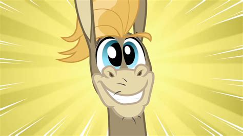 cranky doodle donkey   pony friendship  magic wiki