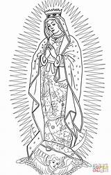 Guadalupe Lady Coloring Drawing Pages Virgen Color La Clipart Kids Printable Virgin Supercoloring Mary Drawings Catholic Tattoo Rosa Draw Sketch sketch template