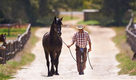 profile  expert horse trainer clinton anderson
