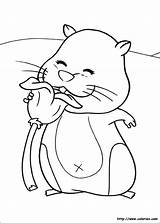 Zhu Hamster Fleur Kleurplaten Malvorlagen Patches Desenhos Kolorowanka Quoi Importe Fleurs Kolorowanki sketch template