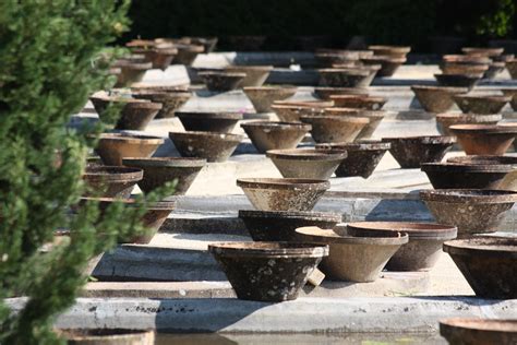 Free Images Wood Water Lily Pots So Much Man Made Object