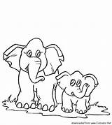 Calf Elephant Animals sketch template