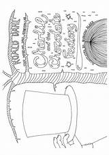 Charlie Factory Chocolate Coloring Pages Books sketch template
