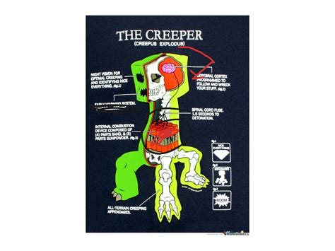 Diagram Of Creeper Minecraft Showme