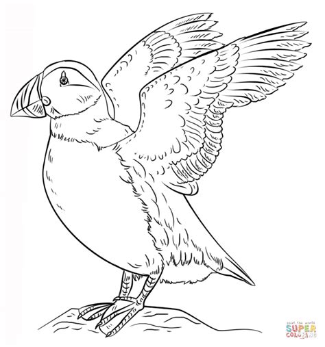 puffins coloring pages coloring home