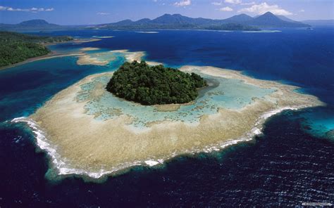 galapagos islands vacation ecuador  guide
