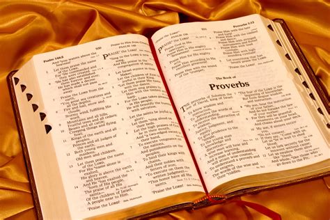 book  proverbs  wisdom  living gods