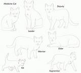 Coloring Warrior Cats Pages Cat Couple Library Clipart Popular sketch template