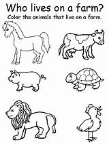 Worksheets Animals Coloring Domestic Farm Kindergarten Animal Preschool Printable Matching sketch template