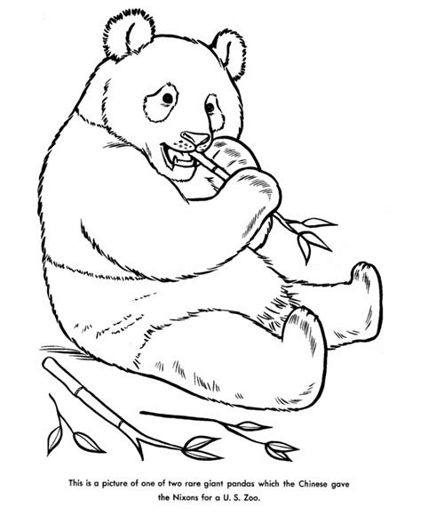 panda bear coloring pages    print
