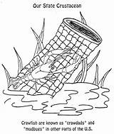 Crustacean Crawfish Designlooter sketch template