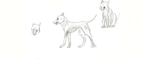 zombie dog sketch  ashesashesfalling  deviantart