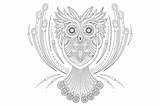 Owl Zentangle Coloring sketch template