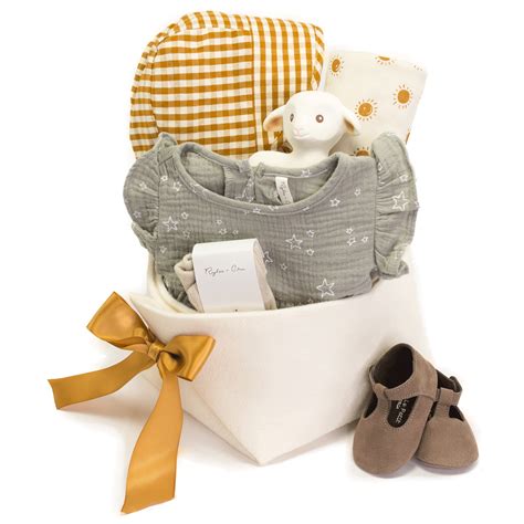baby gifting  easy guide    corporate baby gifts bonjour baby baskets