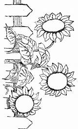 Coloring Pages Flower Sunflower Printable Flowers Book Kids Sunflowers Adults Fall Patterns Color Print Adult Glass Garden Sun Printables Stained sketch template