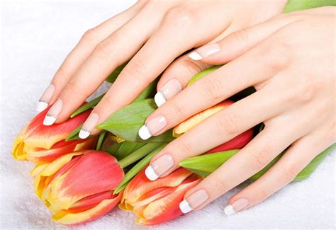 home nail salon  tulip nails spa corpus christi tx