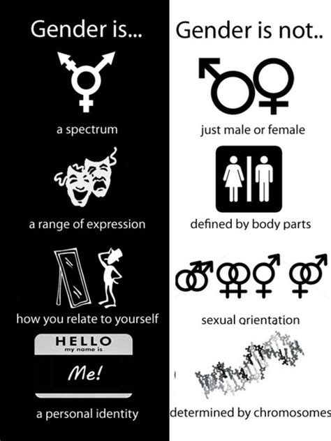 What Had Happen Was Gender A Helpful Infographic The Angry