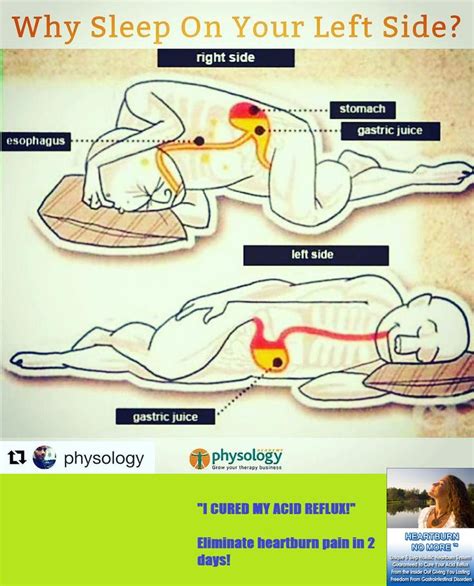 repost physology get repost the position you choose