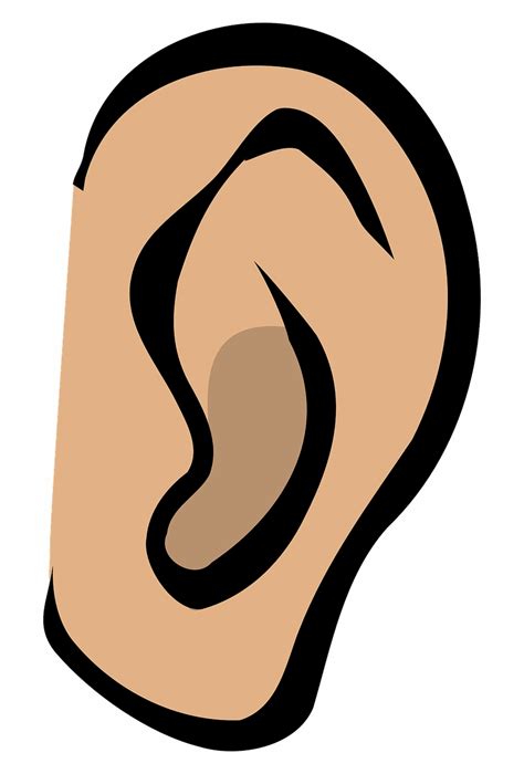 ear clip art   cliparts  images  clipground