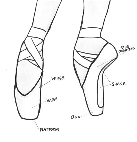 pointe shoe diagram exatininfo