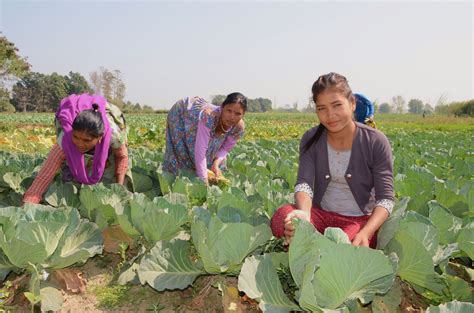 vegetable farming increasing family income world vision international