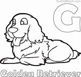 Golden Coloring Retriever Pages Getcolorings sketch template