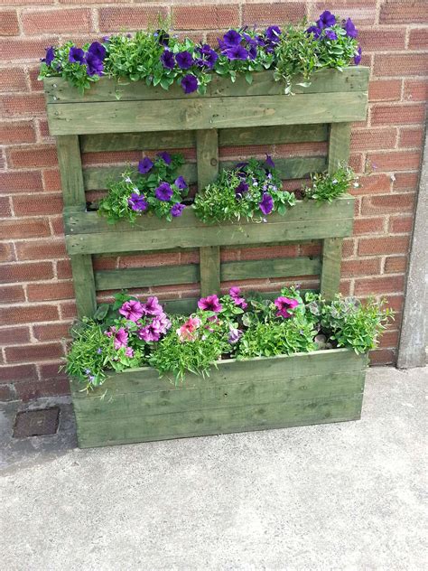 upright pallet planter stained green  pallets