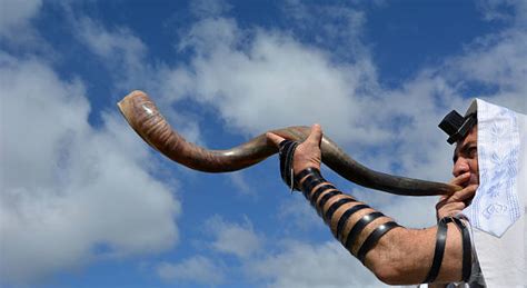 shofar pictures images  stock  istock