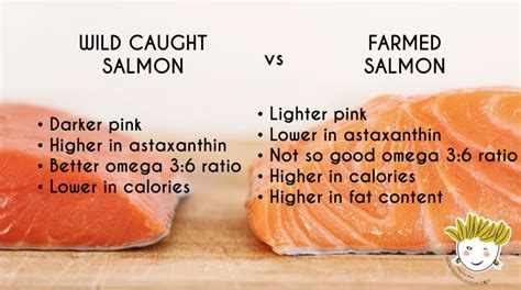 wild caught salmon healthier super mom nutrition