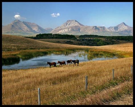 ranch country  photo  alberta prairies trekearth alberta canada ranches landscape