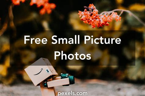 great small picture  pexels  stock