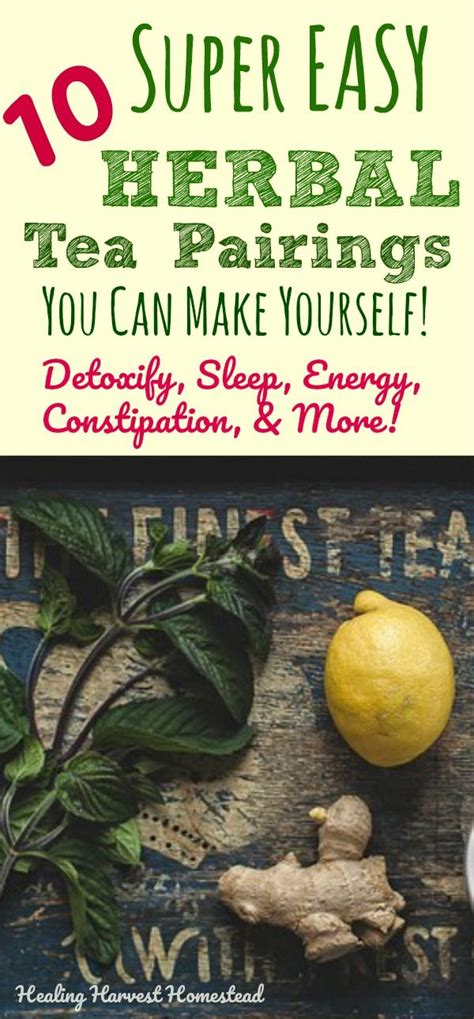 10 best easy herbal teas to make for all the reasons to relax for energy to detox to sleep